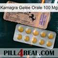 Kamagra Gelée Orale 100 Mg 41